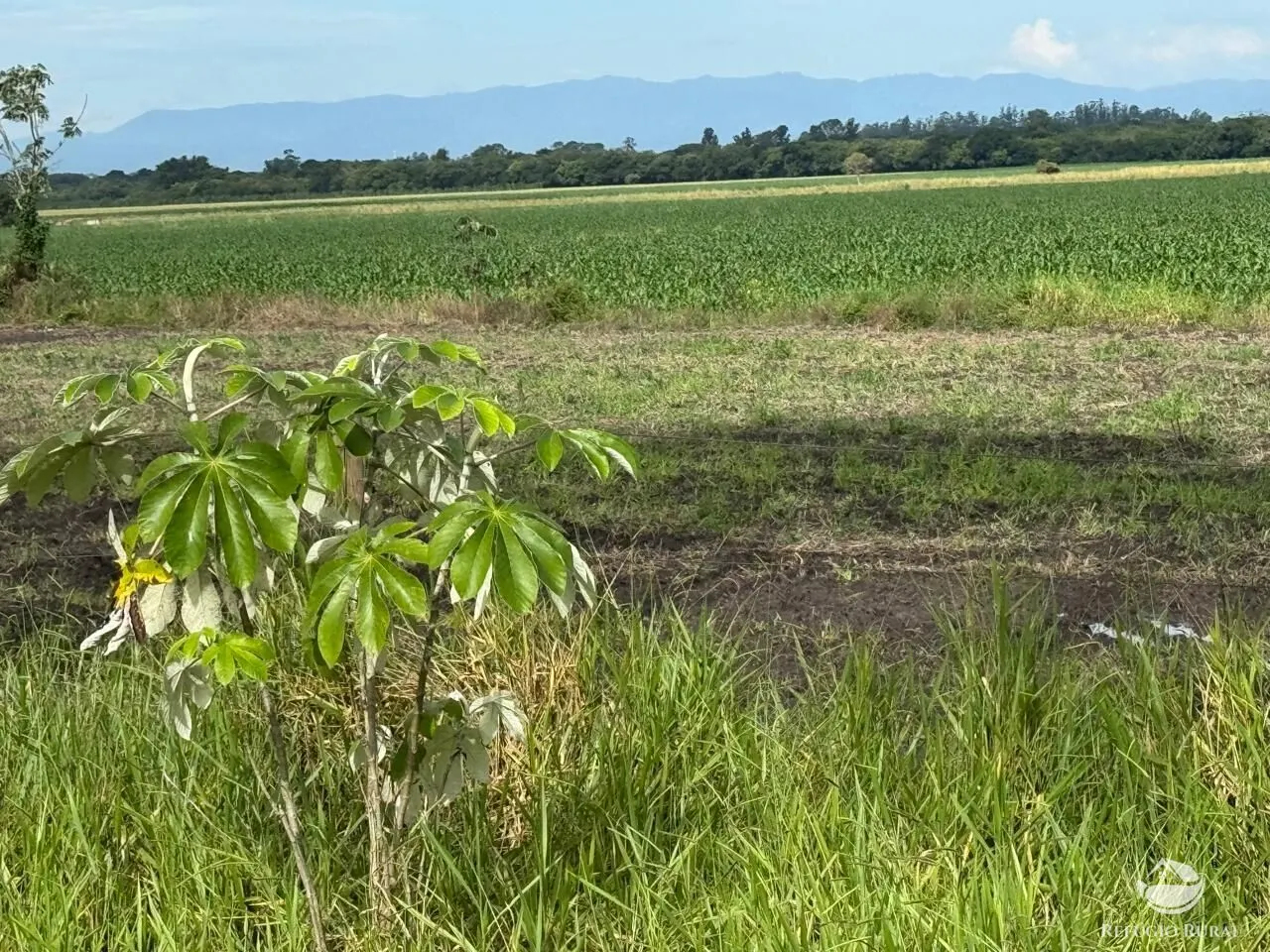 Fazenda à venda de 258 ha em Tremembé, SP, Brasil