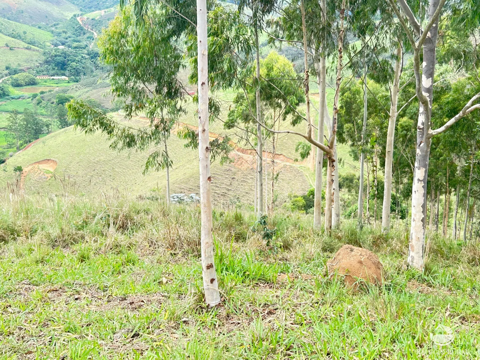 Terreno à venda de 2 ha em São José dos Campos, SP, Brasil