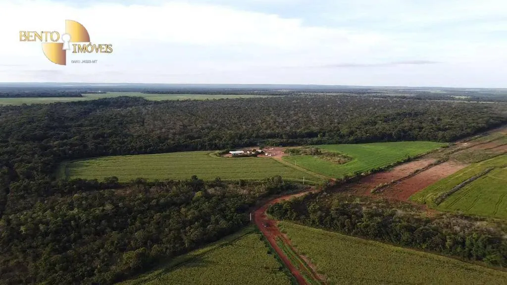Farm for sale of 2,829 acres in Diamantino, MT, Brazil