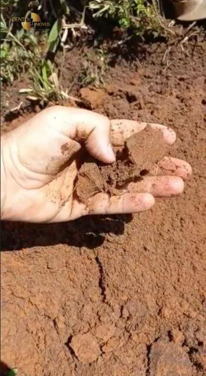 Farm for sale of 2,829 acres in Diamantino, MT, Brazil
