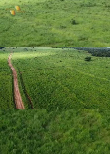 Farm for sale of 2,829 acres in Diamantino, MT, Brazil