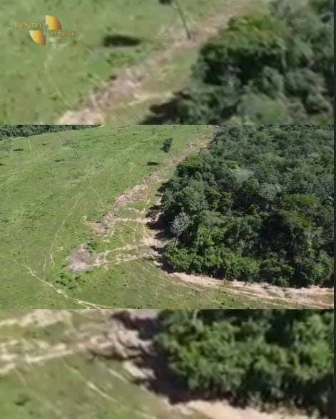 Farm for sale of 2,829 acres in Diamantino, MT, Brazil