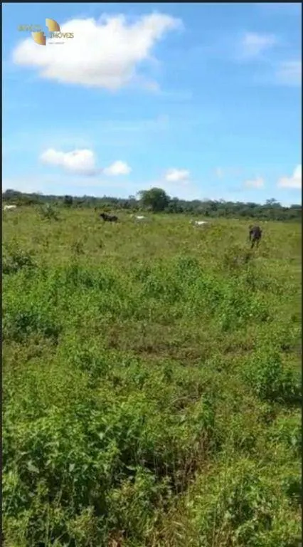Farm for sale of 2,829 acres in Diamantino, MT, Brazil
