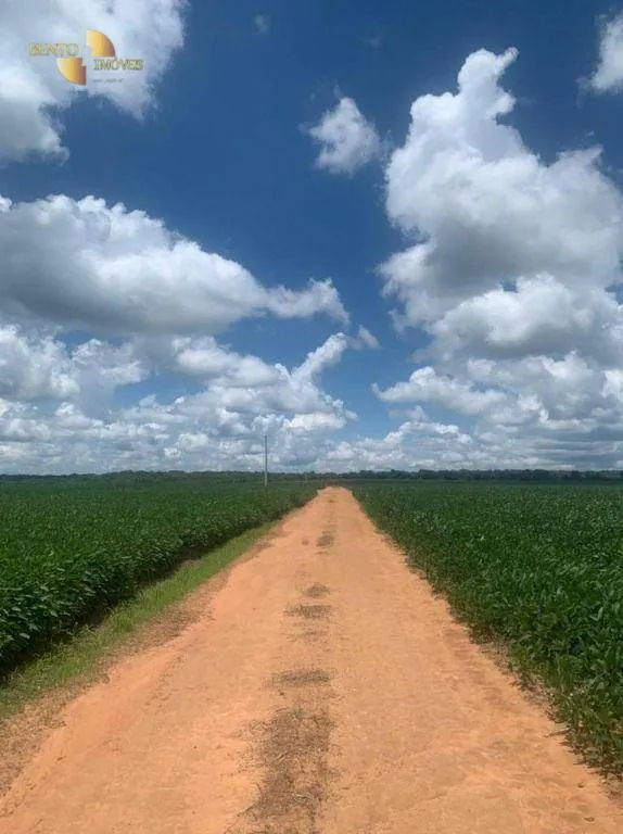Farm for sale of 2,829 acres in Diamantino, MT, Brazil