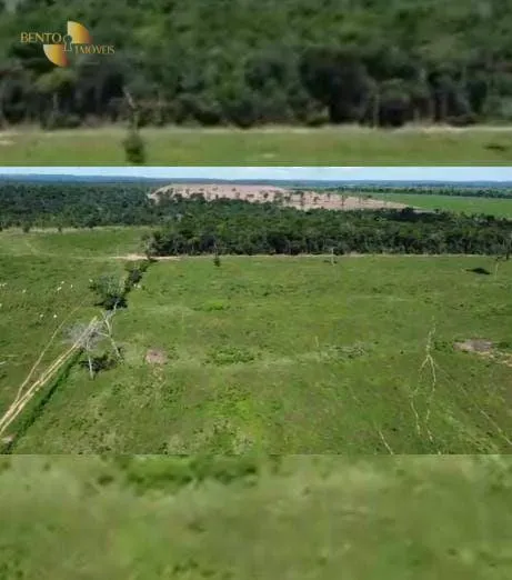 Farm for sale of 2,829 acres in Diamantino, MT, Brazil