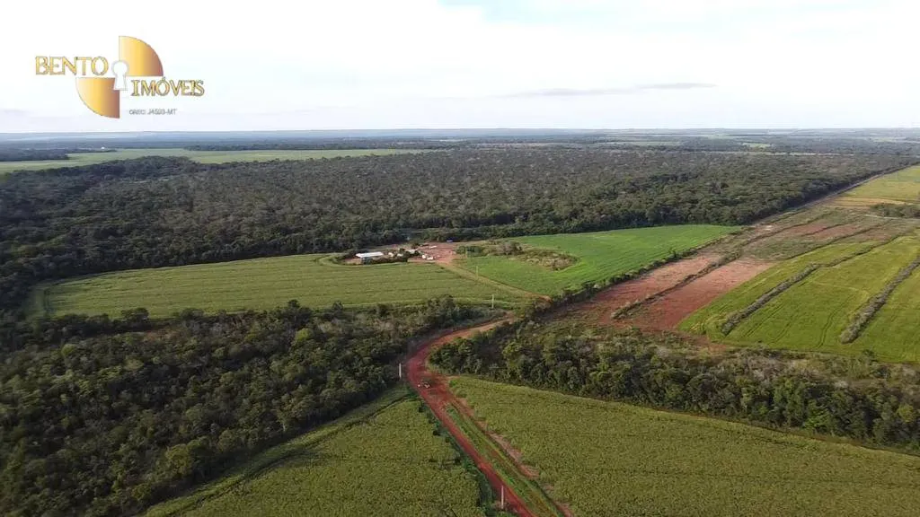 Farm for sale of 2,829 acres in Diamantino, MT, Brazil
