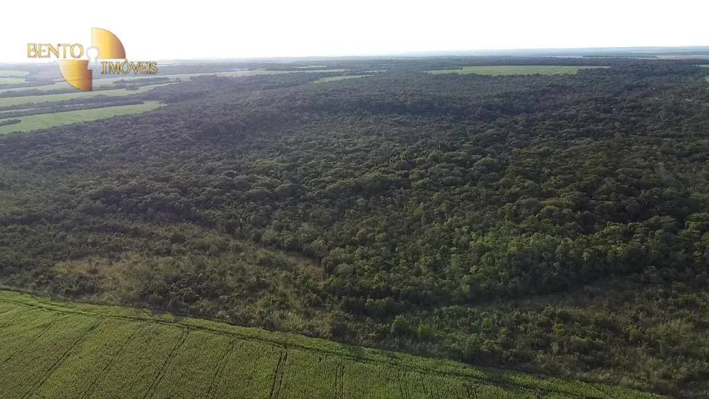 Farm for sale of 2,829 acres in Diamantino, MT, Brazil