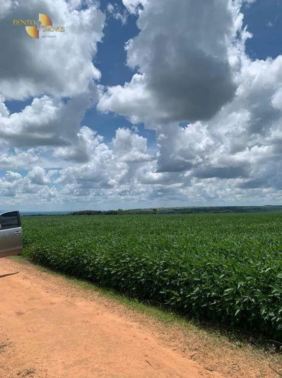 Farm for sale of 2,829 acres in Diamantino, MT, Brazil