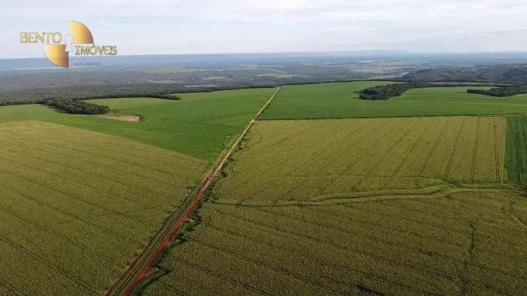 Farm for sale of 2,829 acres in Diamantino, MT, Brazil