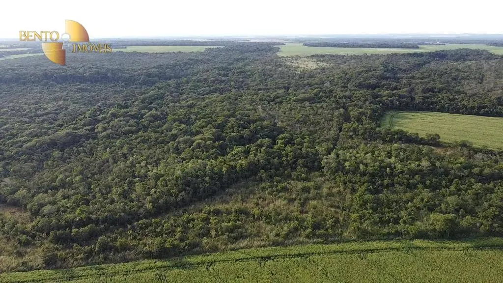 Farm for sale of 2,829 acres in Diamantino, MT, Brazil