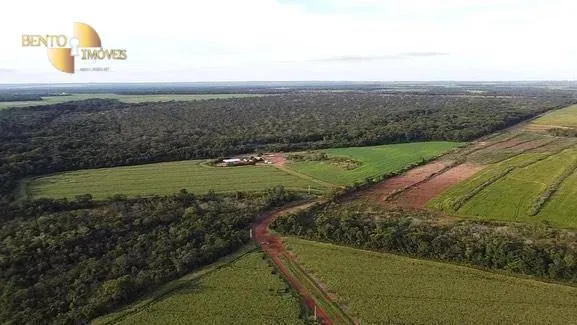 Farm for sale of 2,829 acres in Diamantino, MT, Brazil