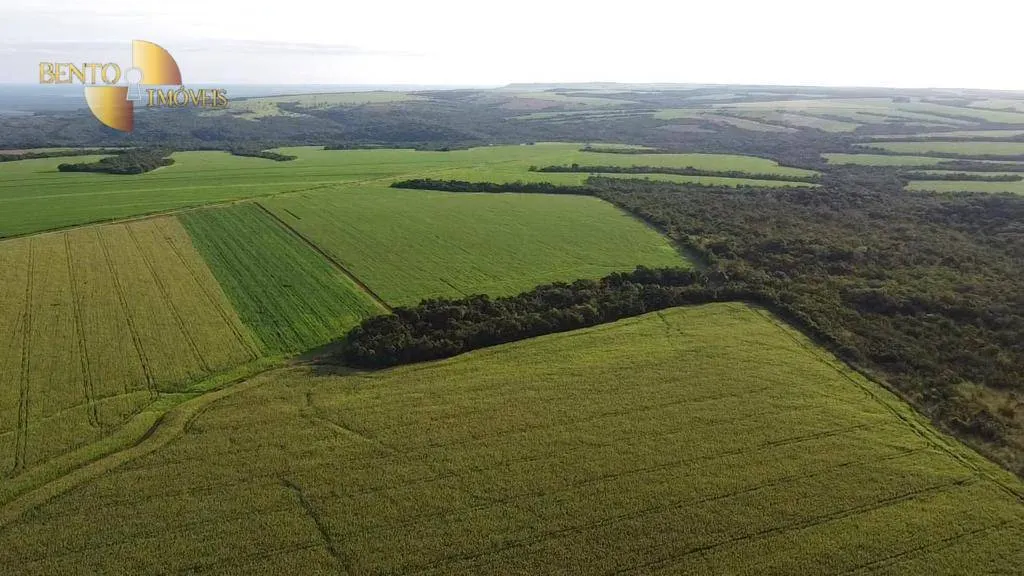 Farm for sale of 2,829 acres in Diamantino, MT, Brazil