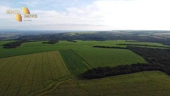 Fazenda à venda de 1.145 ha em Diamantino, MT, Brasil