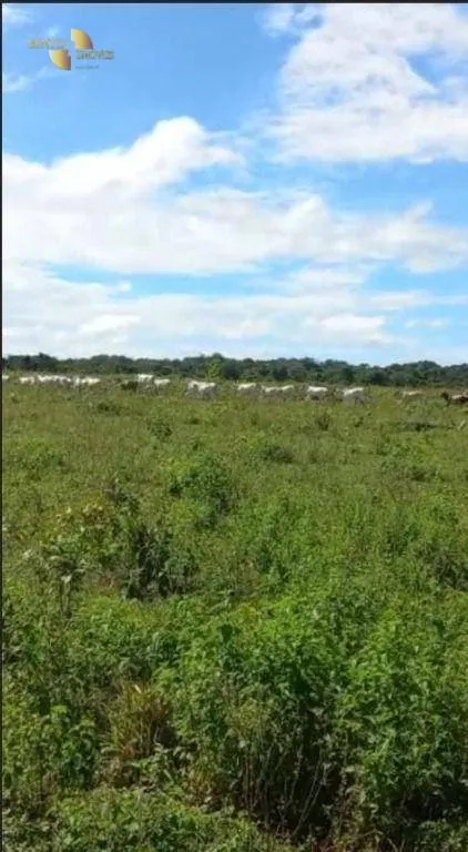 Farm for sale of 2,829 acres in Diamantino, MT, Brazil