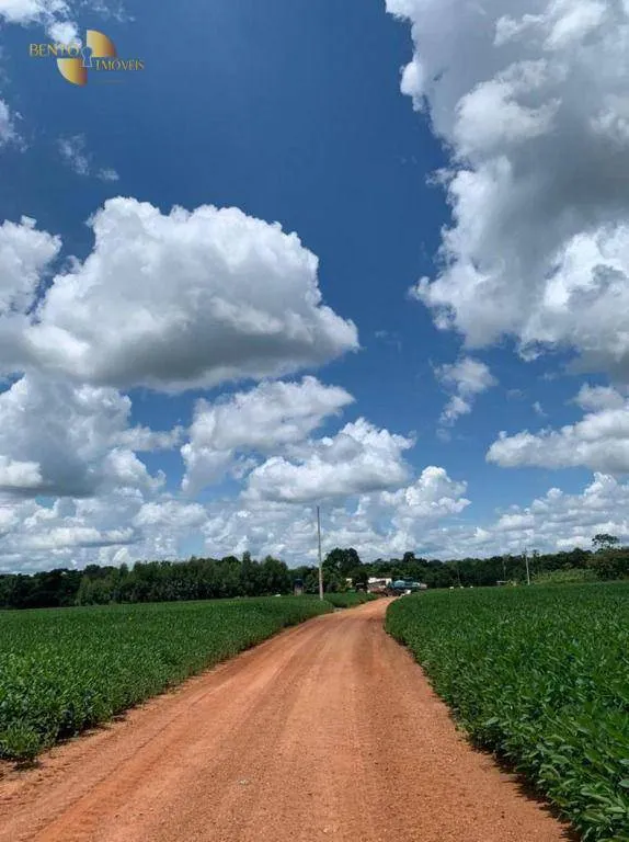 Farm for sale of 2,829 acres in Diamantino, MT, Brazil