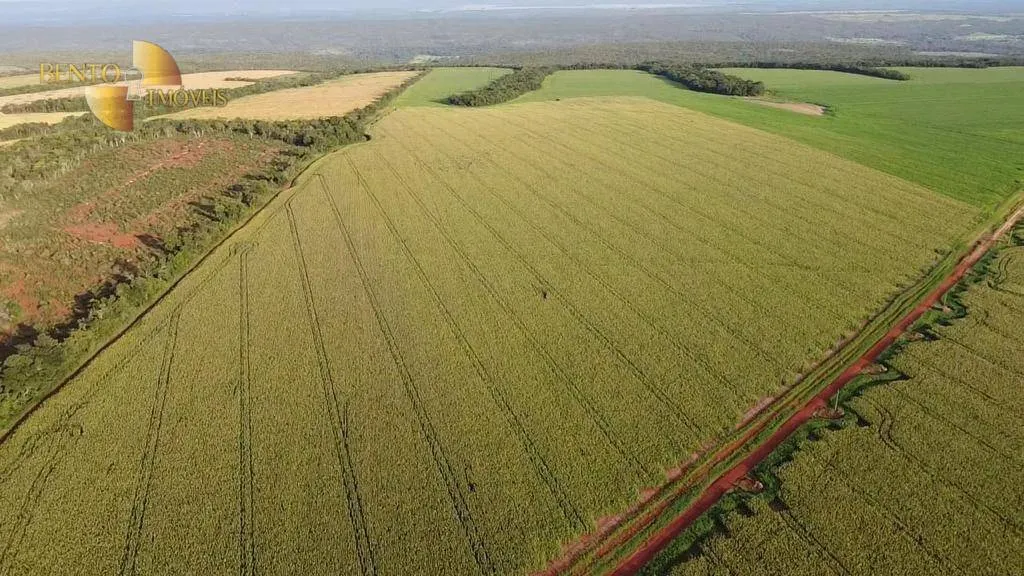 Farm for sale of 2,829 acres in Diamantino, MT, Brazil