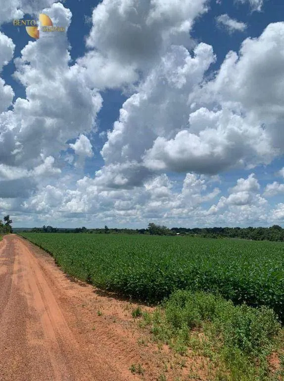 Farm for sale of 2,829 acres in Diamantino, MT, Brazil
