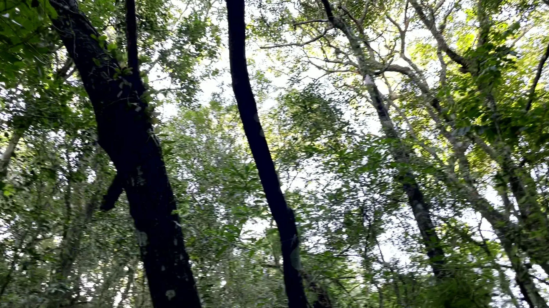 Chácara à venda de 3.564 m² em Santo Antônio da Patrulha, RS, Brasil