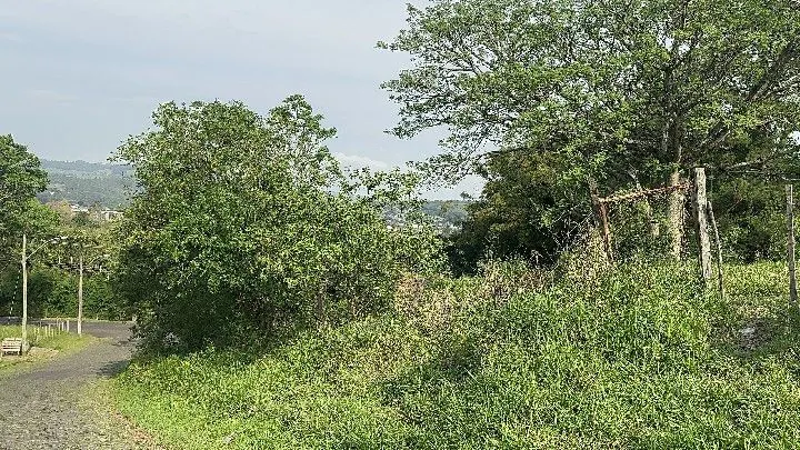 Chácara à venda de 3.564 m² em Santo Antônio da Patrulha, RS, Brasil