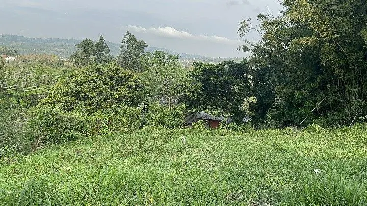 Chácara à venda de 3.564 m² em Santo Antônio da Patrulha, RS, Brasil