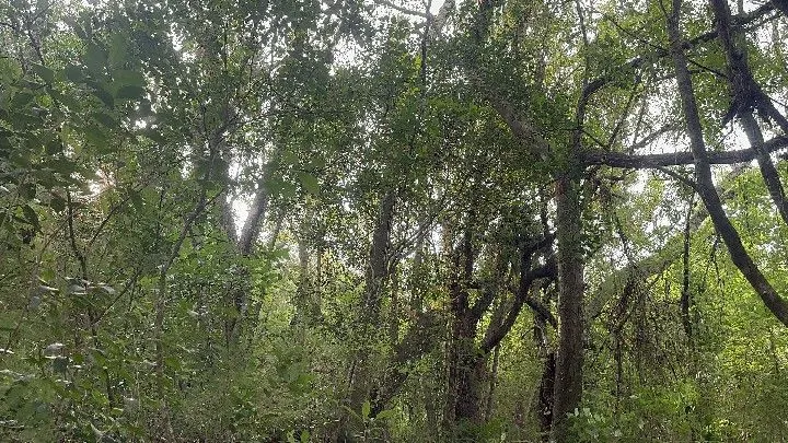 Chácara à venda de 3.564 m² em Santo Antônio da Patrulha, RS, Brasil