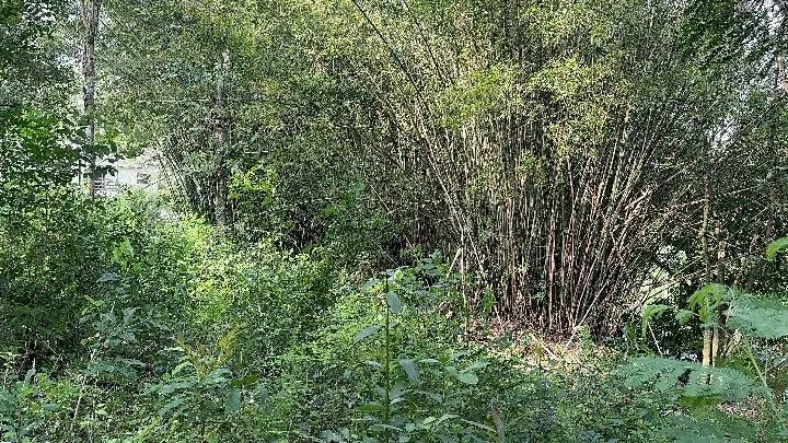 Chácara à venda de 3.564 m² em Santo Antônio da Patrulha, RS, Brasil