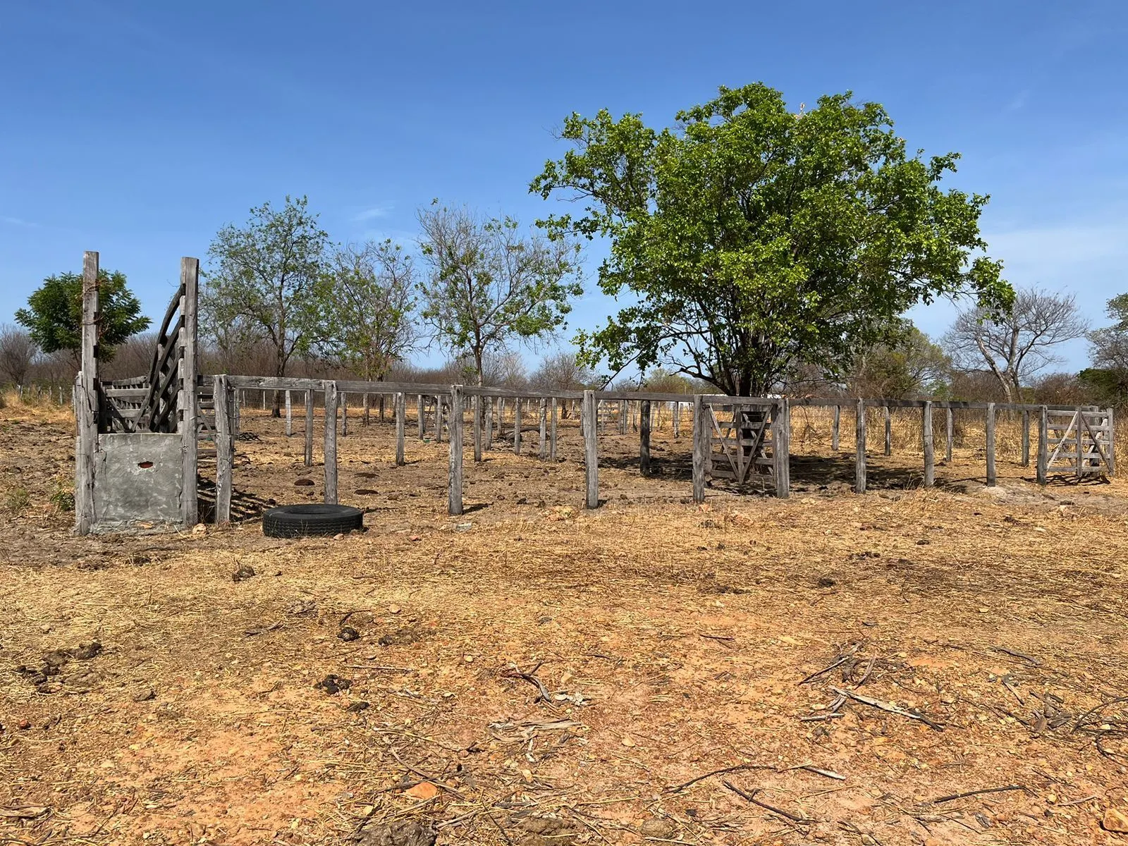Fazenda à venda de 536 ha em Ibotirama, BA, Brasil