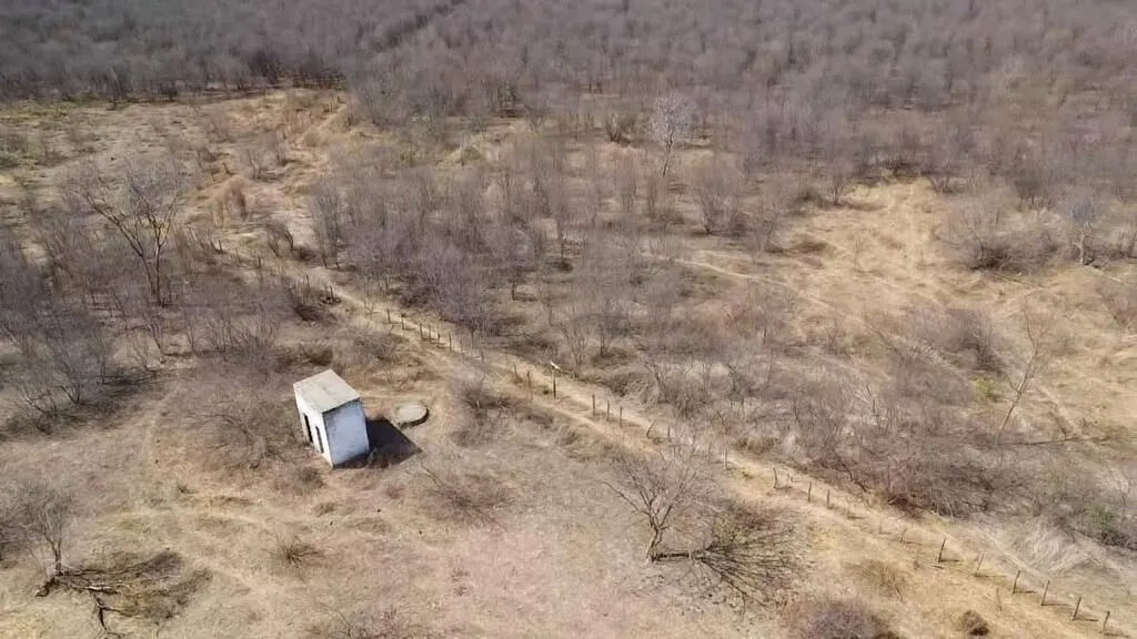 Fazenda à venda de 536 ha em Ibotirama, BA, Brasil