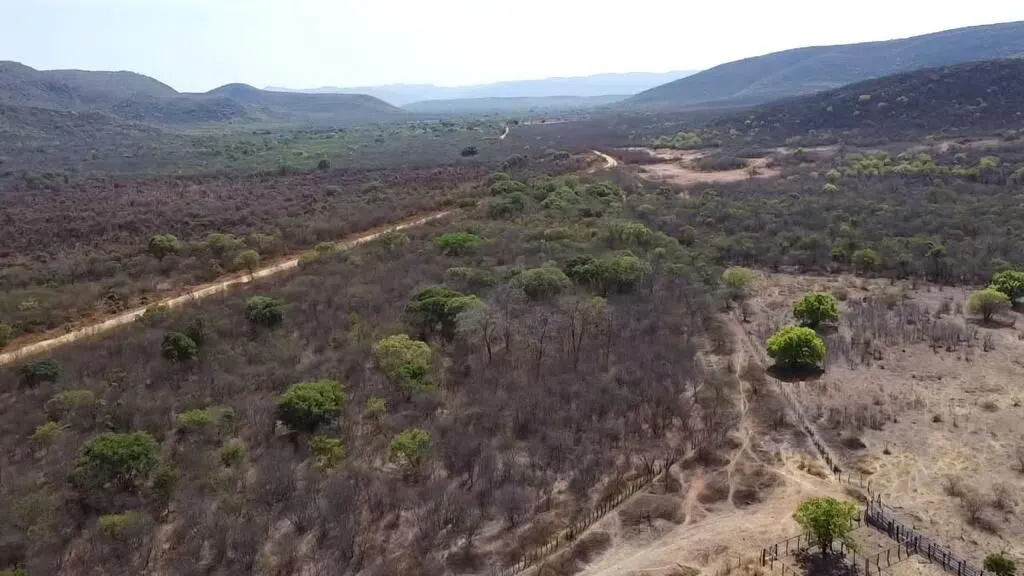 Fazenda à venda de 536 ha em Ibotirama, BA, Brasil