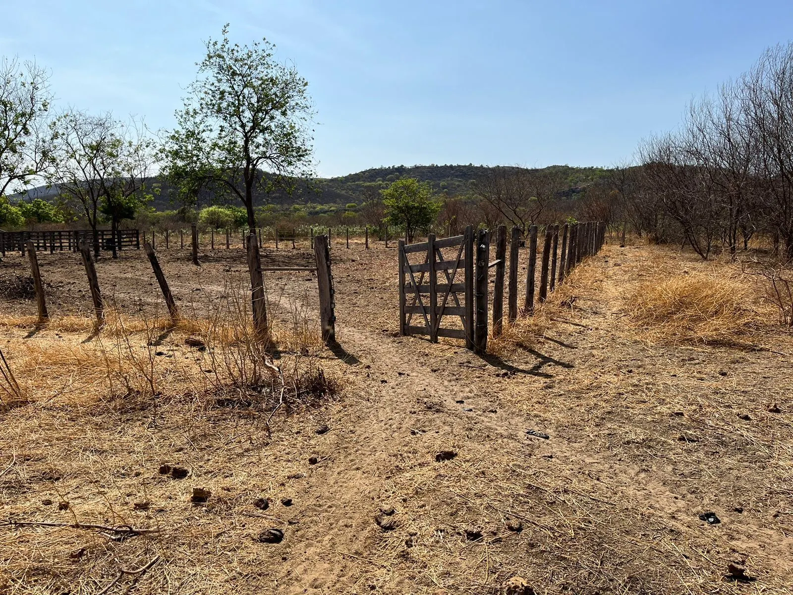 Fazenda à venda de 536 ha em Ibotirama, BA, Brasil