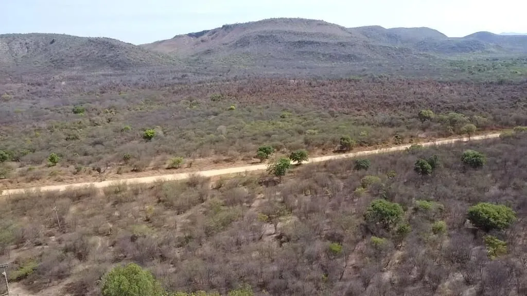 Fazenda à venda de 536 ha em Ibotirama, BA, Brasil