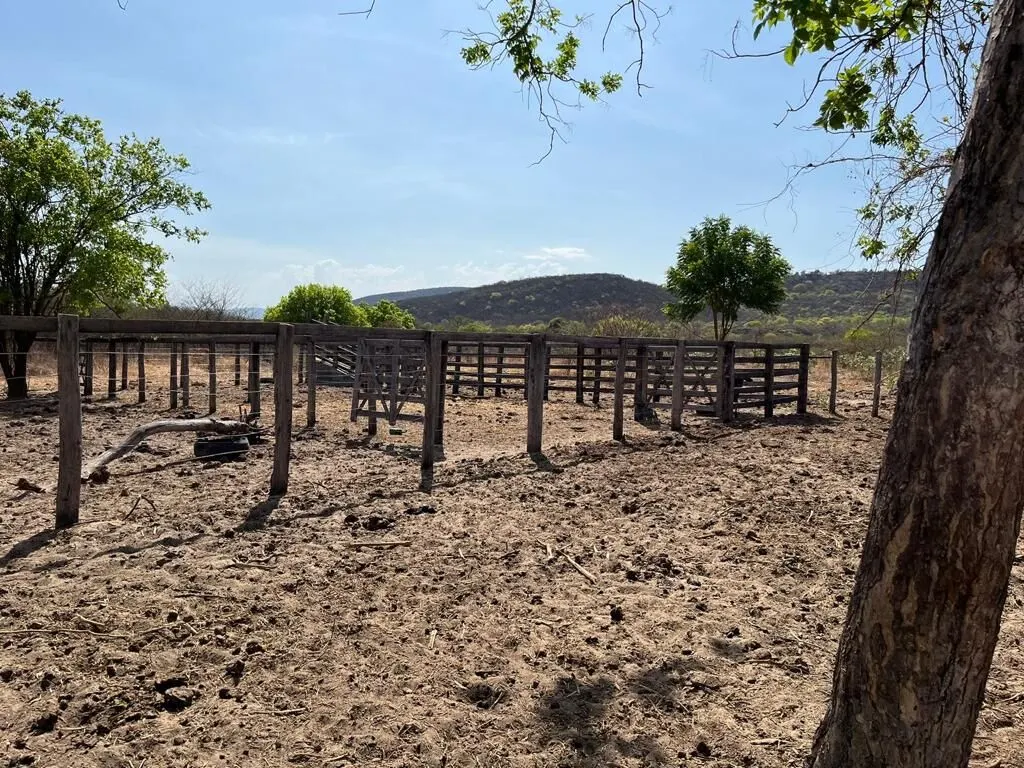 Fazenda à venda de 536 ha em Ibotirama, BA, Brasil