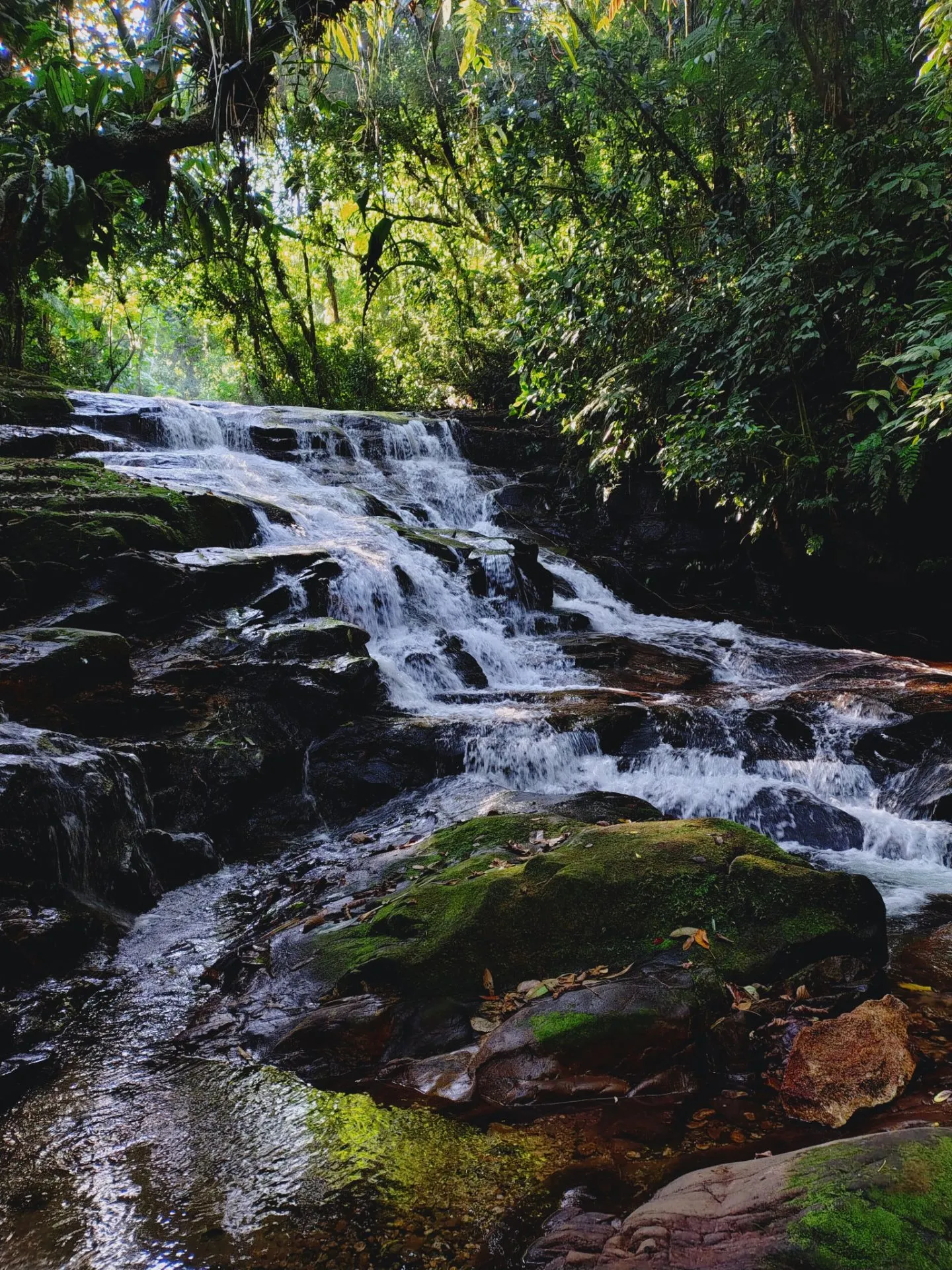 Terreno à venda de 1 ha em Ubatuba, SP, Brasil