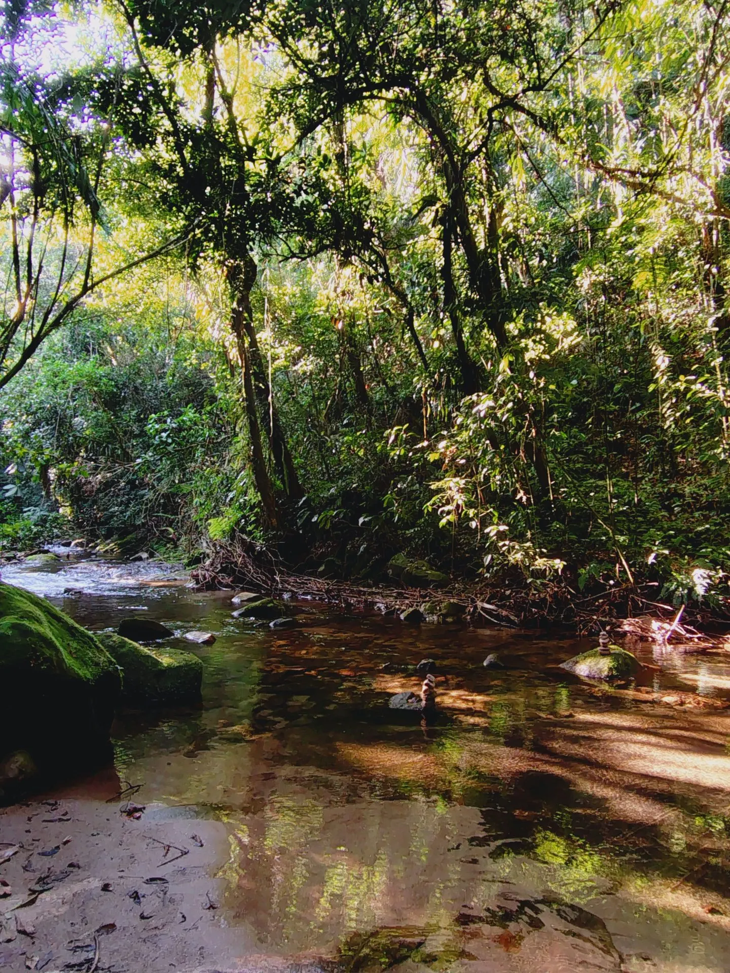 Terreno à venda de 1 ha em Ubatuba, SP, Brasil