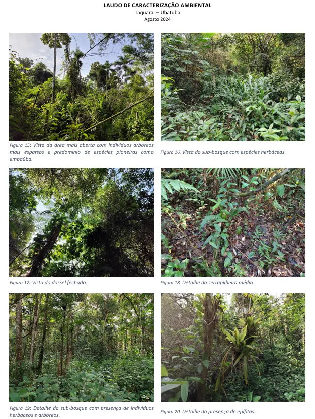 Terreno à venda de 1 ha em Ubatuba, SP, Brasil