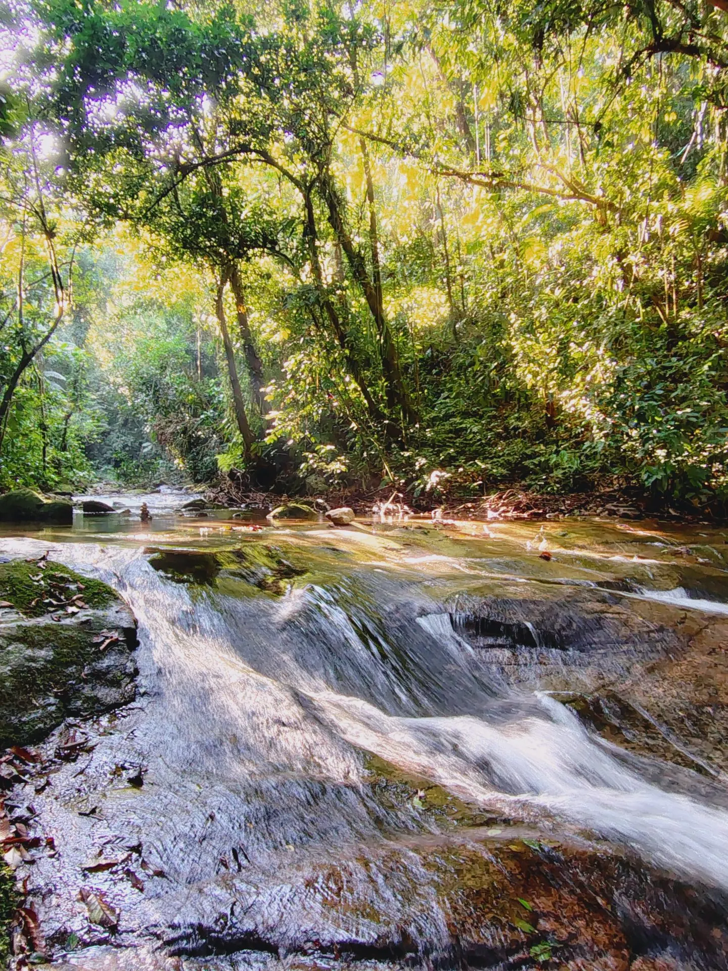 Terreno à venda de 1 ha em Ubatuba, SP, Brasil