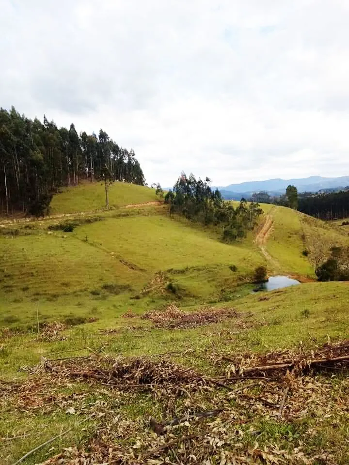 Sítio à venda de 12 ha em Rio do Campo, SC, Brasil