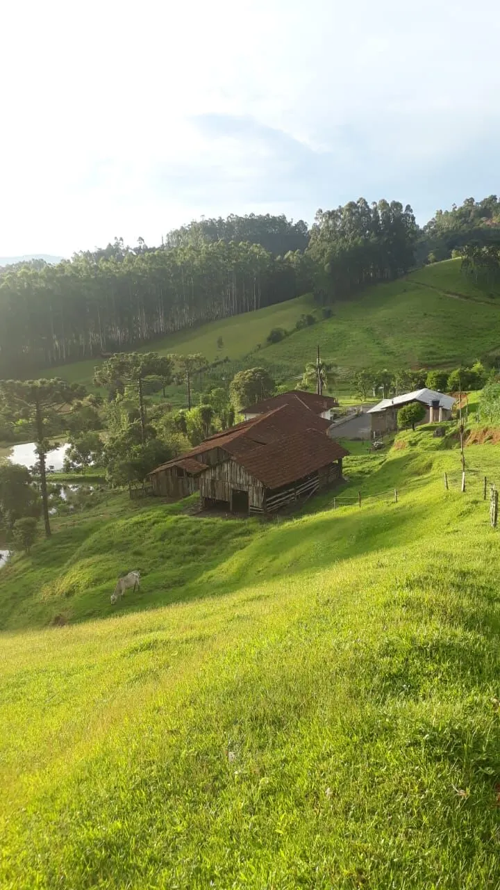 Sítio à venda de 12 ha em Rio do Campo, SC, Brasil