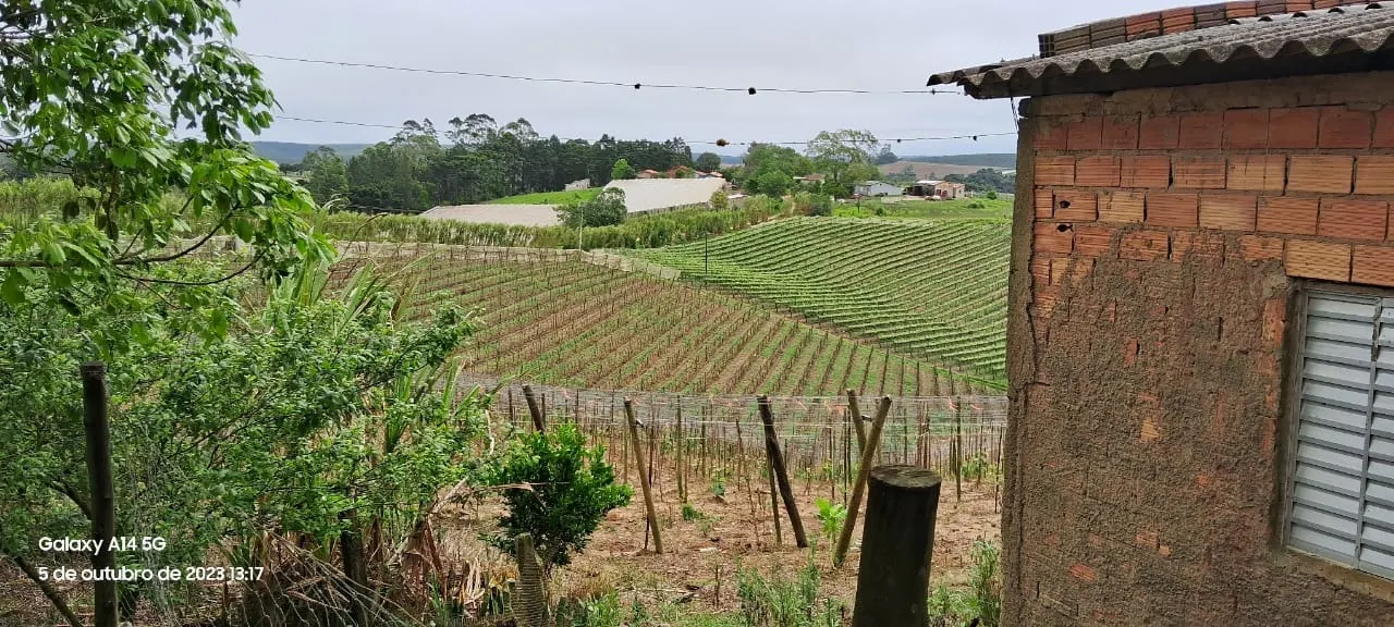 Chácara à venda de 3 ha em São Miguel Arcanjo, SP, Brasil