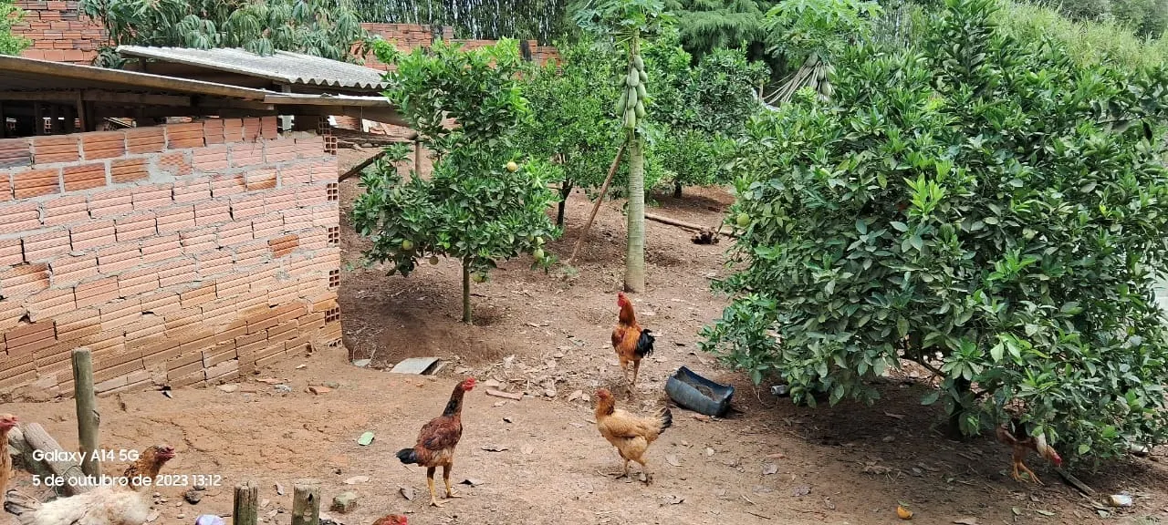 Chácara à venda de 3 ha em São Miguel Arcanjo, SP, Brasil