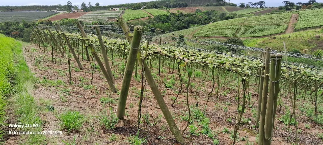 Chácara à venda de 3 ha em São Miguel Arcanjo, SP, Brasil
