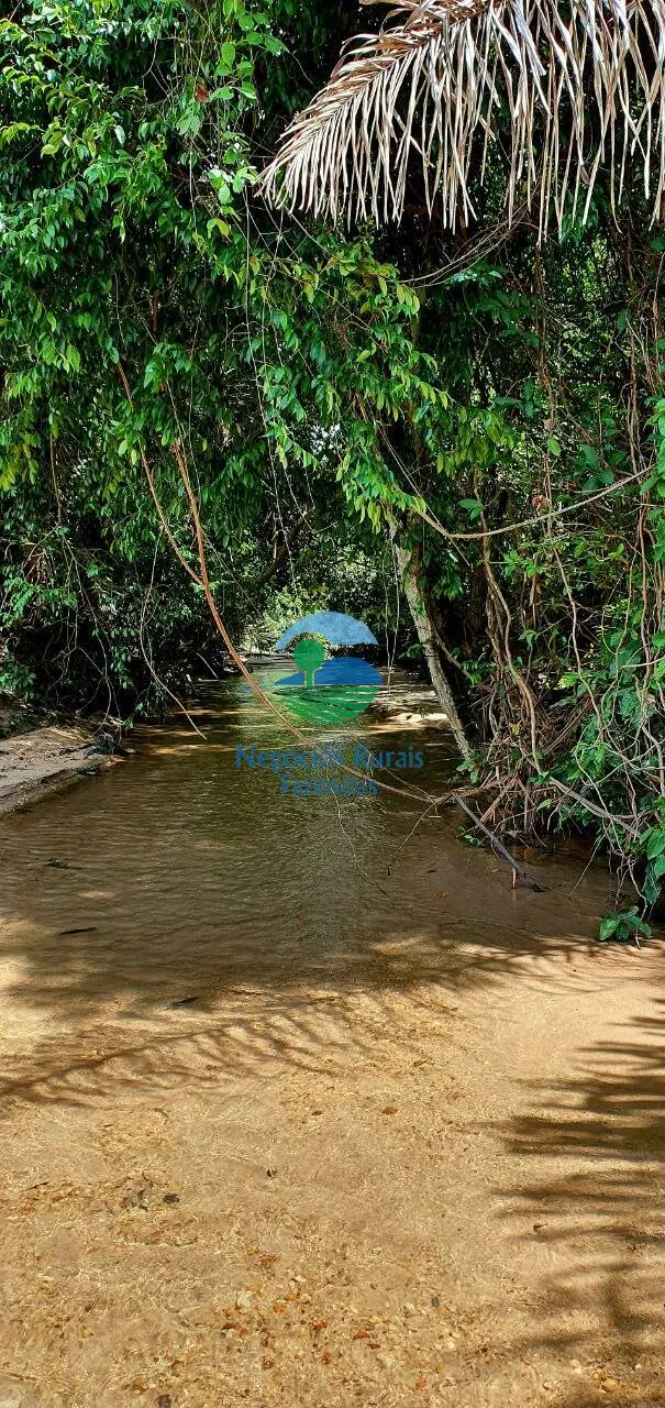 Fazenda à venda de 837 ha em Crixás, GO, Brasil