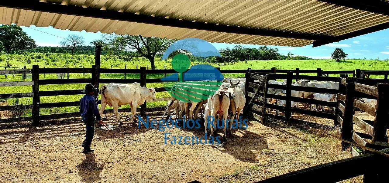 Fazenda à venda de 837 ha em Crixás, GO, Brasil