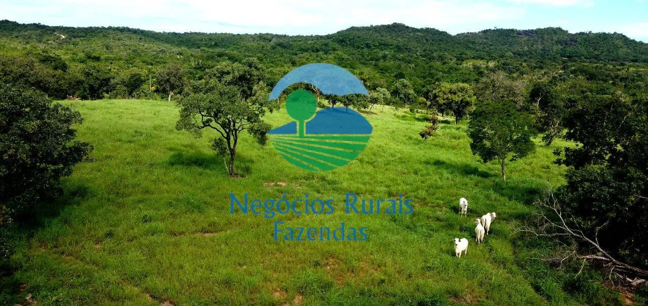 Fazenda à venda de 837 ha em Crixás, GO, Brasil