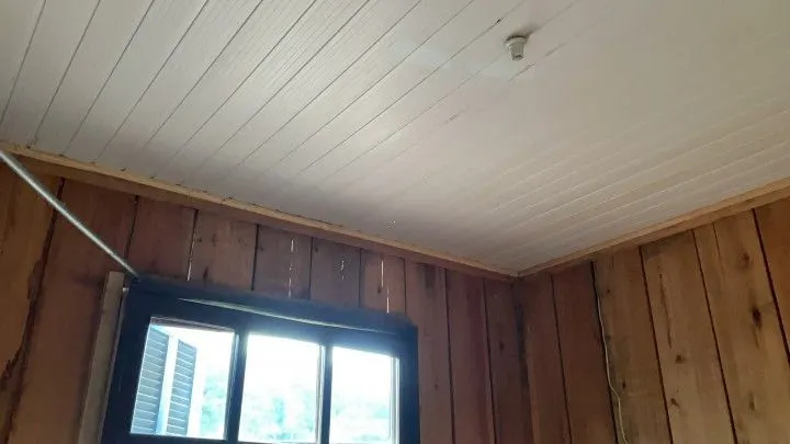 Terreno à venda e para Arrendar de 1.312 m² em Três Cachoeiras, RS, Brasil
