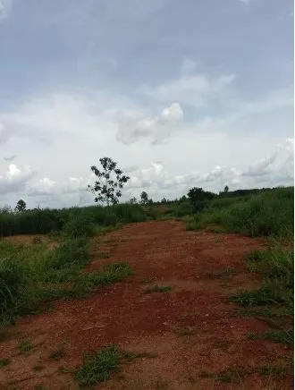 Fazenda à venda de 1.210 ha em Araguaína, TO, Brasil