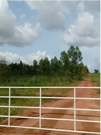 Fazenda à venda de 1.210 ha em Araguaína, TO, Brasil