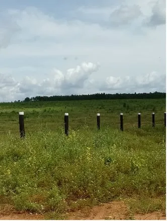 Fazenda à venda de 1.210 ha em Araguaína, TO, Brasil