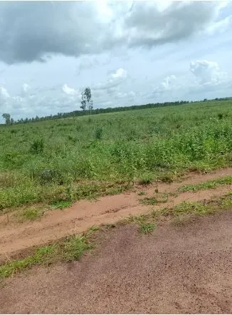 Fazenda à venda de 1.210 ha em Araguaína, TO, Brasil