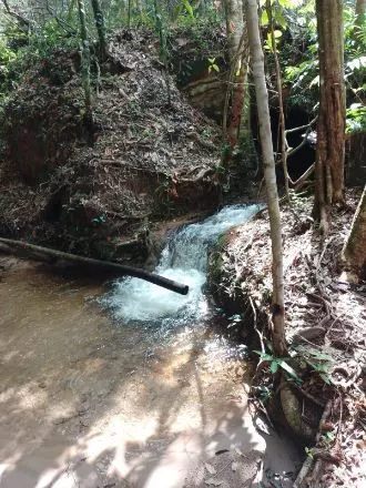 Fazenda à venda de 1.210 ha em Araguaína, TO, Brasil